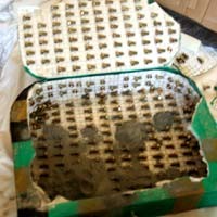 Bom Marriott Disimpan di Tas Laptop, Dihiasi Ratusan Baut