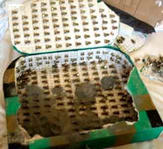 Bom Marriott Berhias Baut