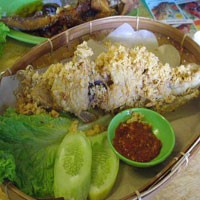 Digigit Sambal Pedas si Lele Lela