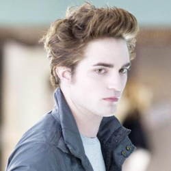Edward Cullen Dijual Rp 8 Ribu