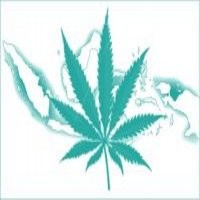 Legalkan Ganja Berkumandang di Facebook