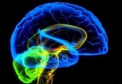 Otak Buatan untuk Penderita Keterbelakangan Mental