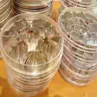 Cookie Cutter, Cara Praktis Membuat Kuker Cantik