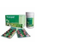 Herbal Lebih Aman Turunkan Kolesterol