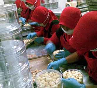 Bisnis Kue Kering Tak Pernah Kering