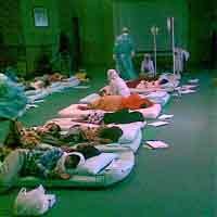 35 Santri Ponpes Assalafi Al Fithrah Suspect Flu Babi