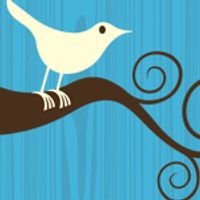 Perlukah Presiden RI Memanfaatkan Twitter? 