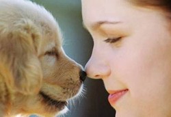 Anjing Mampu Deteksi Penyakit Diabetes