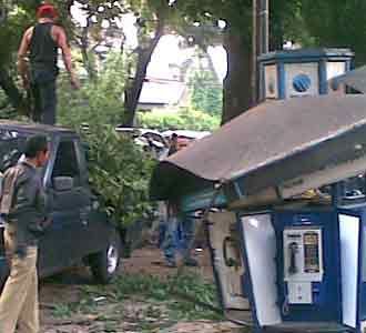 Dahan Pohon Timpa Pedagang