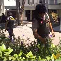 Polisi Lacak Nomor Telepon Peneror Balai Kota Surabaya