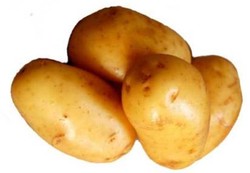 Inggris Mulai Tergoda Tanaman Transgenik