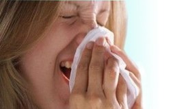  Alergi Rhinitis