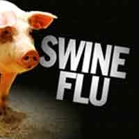 Pasien Suspect Flu Babi di RSU Soetomo Jadi 24 Orang