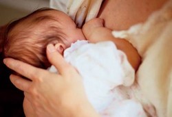  Menyusui Lancar, ASI Tokcer