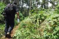  Kronologi Hilangnya Mahasiswa UGM di Gunung Semeru