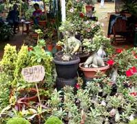 Pameran Flora dan Fauna 2009