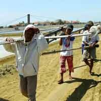 Ratusan Warga Sumenep Kuasai Lahan Penggaraman