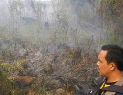 Kabut Asap, Kedatangan Pesawat di Bandara Pekanbaru Tertunda