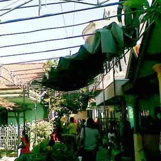 Kesibukan di Kampung Mbah Surip