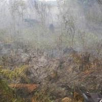  Satu Per Satu Sekolah di Pekanbaru Diliburkan