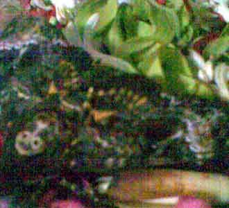 Kupu-kupu Gegerkan Warga Tambakasri