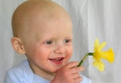 Penderita Leukemia Bisa Berumur Panjang
