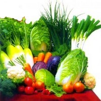 Rahasia di Balik Warna-Warni Makanan