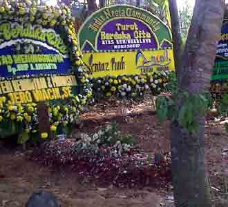 Pohon Jengkol Mbah Surip Berkarangan Bunga