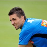 Ibisevic Ingin Lanjutkan Pesta