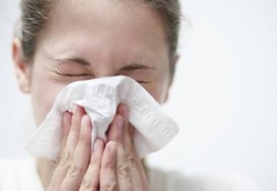 Dari Mana Munculnya Ingus?