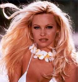 Pamela Anderson Tetap Seksi Karena Seks