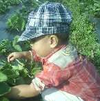 Muhammad Falih Hammam, 2 Tahun; Lelaki; m