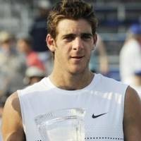 Tekuk Roddick, Del Potro Juara