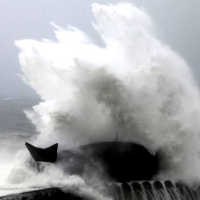 700 Orang di Pegunungan Terpencil Ditemukan Selamat dari Morakot