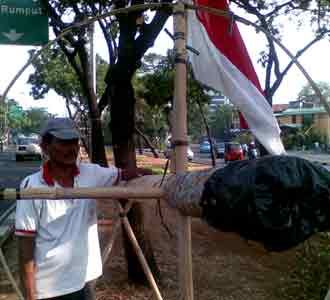 Pedagang Pohon Pinang Panen Rezeki