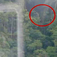 3 Jasad Korban Pesawat Jatuh di Papua Nugini Ditemukan