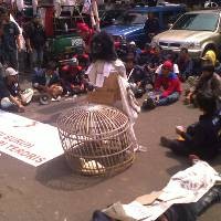 Nilai PHI Buruk, Buruh Bawa Ayam Putih ke PN Bandung