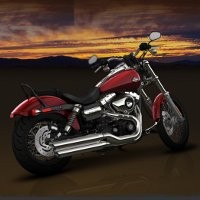 8 Moge Harley-Davidson di 2010