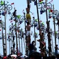 164 Pohon Pinang Siap Dipanjat Ratusan Orang di Ancol 