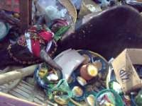 Byur! Kerbau Dibuang ke Laut Jakarta