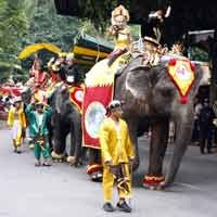 Meriahkan HUT RI ke-64, Taman Safari Indonesia Gelar Parade Satwa