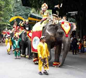 Parade Satwa Meriahkan HUT ke-64 RI