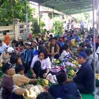 Ratusan Warga Kandangan Gelar Sedekah Bumi