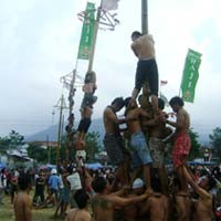 Tak Capai Target 200 Pohon Pinang, Walikota Batu Geram