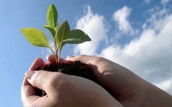 Menumbuhkan Semangat Pengorbanan