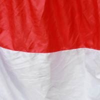 Pendaki Indonesia Kibarkan Merah Putih di Atap Eropa