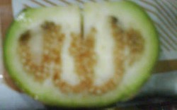 Ischak Masih Simpan Terong Berlafaz Allah di Kulkas