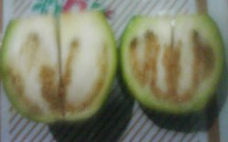 Ischak Temukan Lafaz Allah Saat Makan Lalapan di Warung Lesehan