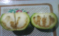 Lafaz Allah Ditemukan dalam Irisan Terong