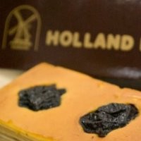 Terima Kasih Atas Tanggapan dari Holland Bakery 